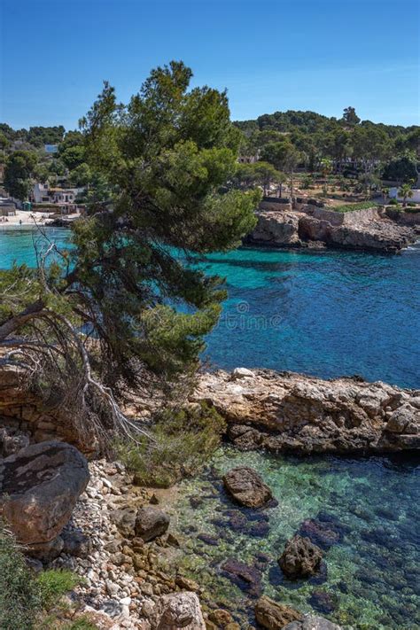 View of the Bay LA CALITA, PORTALS NOUS with Beach, Mallorca Stock ...