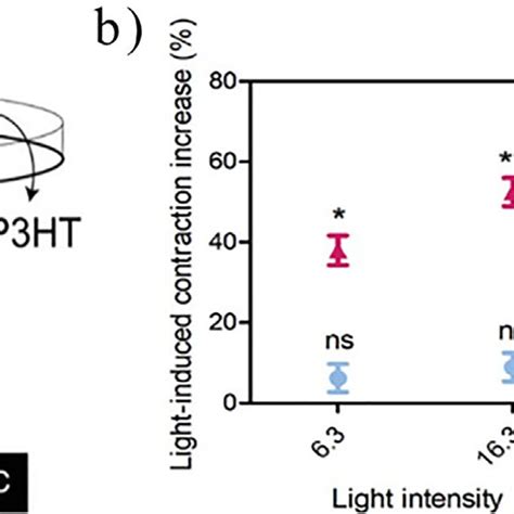 P Ht Mediated Increase In The Hipsc Cms Contraction Frequency A