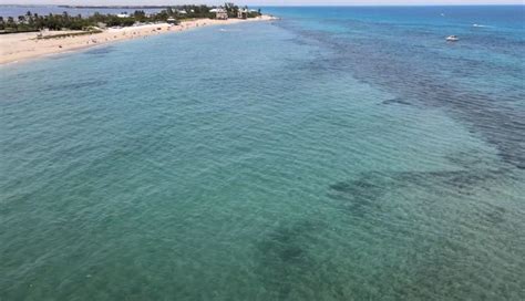 Snorkeling in Stuart - Discover Fun in the Bathtub Reefs