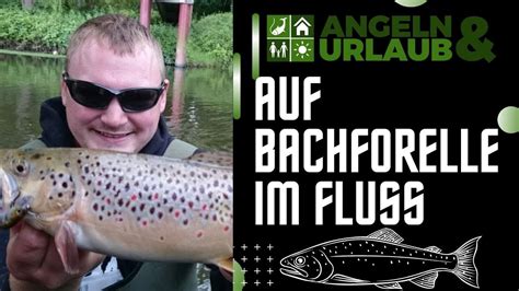 Bachforellenpirsch Am Kleinen Fluss Forellenangeln In Der Ilmenau