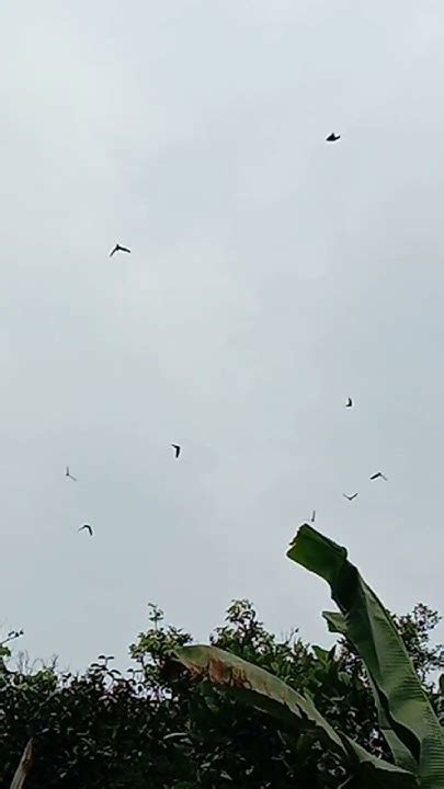 cuaca mendung bw ramai youtube