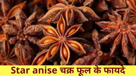 Star Anise in Hindi चकर फल क उपयग फयद नम एव पर जनकर