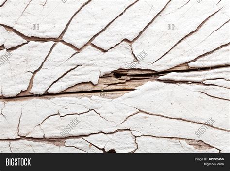 White Wood Texture Image & Photo (Free Trial) | Bigstock