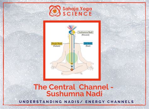 The Central Channel – Sushumna Nadi – Sahaja Yoga Science