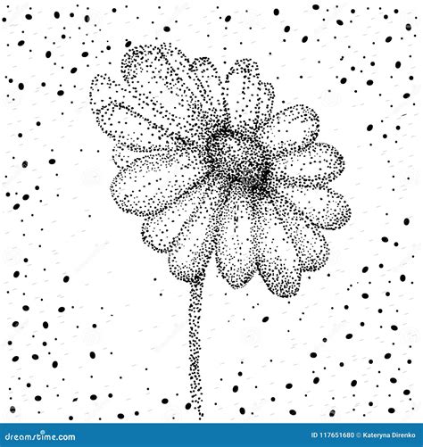 Chamomile, Camomile Flower Floral Hand Drawn Engraving Vector