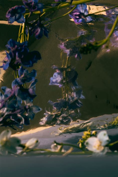 Marketing Ecosystem Audit - Karna Liv Nau