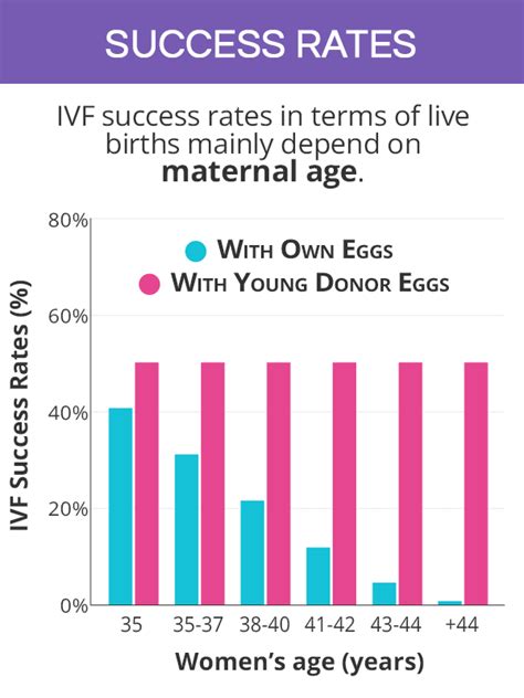 In Vitro Fertilization Ivf Shecares