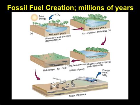 Fossil Fuel Formation Timeline