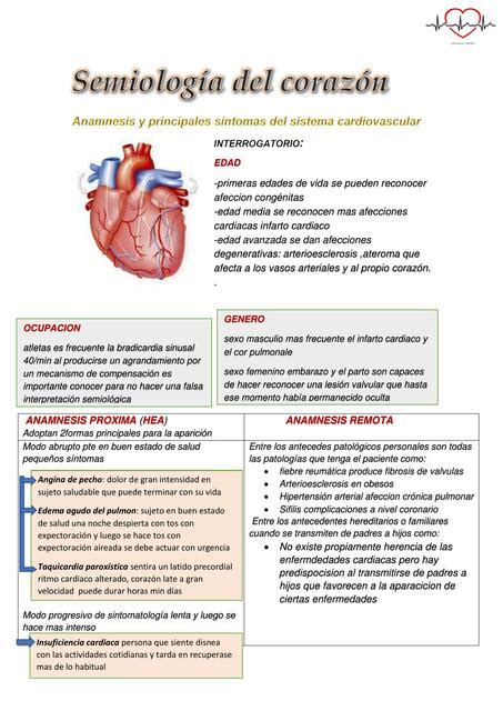 Semiología del corazón Lizbeth Chavez uDocz