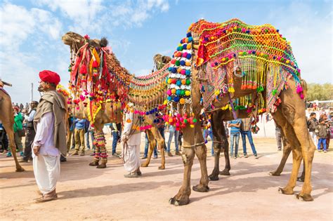 Decorated Camel at Bikaner, India jigsaw puzzle in Animals puzzles on ...