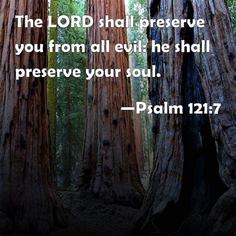 Psalm 121 7 The LORD Shall Preserve You From All Evil He Shall