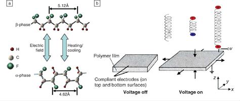 Figure 1 from Electroactive Polymer Actuators and Sensors | Semantic ...