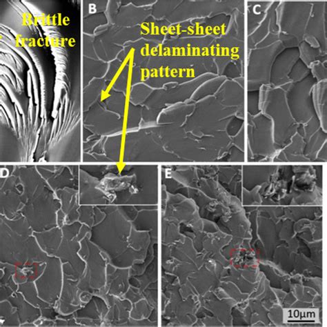 Sem Images Of Fracture Surfaces A Plain Epoxy B Epoxygnp 01wt