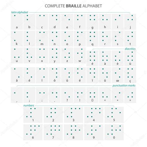 Cartel Completo Del Alfabeto Braille Con Letras Latinas Números Diacríticos Y Signos De