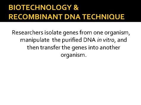 Genetic Engineering Biotechnology Recombinant Dna Technique It Is