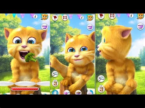 Talking Ginger Funny Video Talking Ginger Gameplay Ginger Ginger