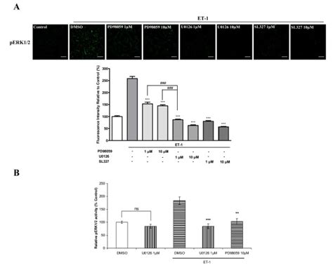 Effects Of Mek Inhibitors On Et 1 Induced Activation Of Erk1 2 In Download Scientific Diagram