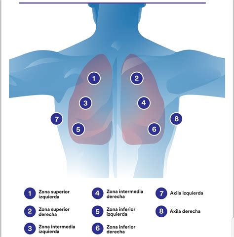 Focos Para Ausculta Pulmonar Librain