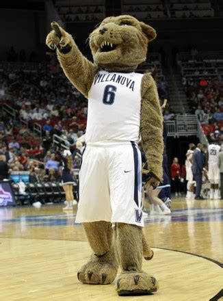 Villanova Universitys Mascot Works Crowd Against Editorial Stock Photo ...