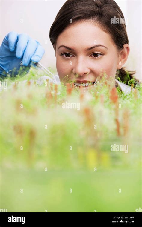 Female Scientist Researching On Plants In A Laboratory Stock Photo Alamy