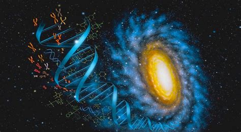 DNA And The Holographic Universe Unariun Wisdom