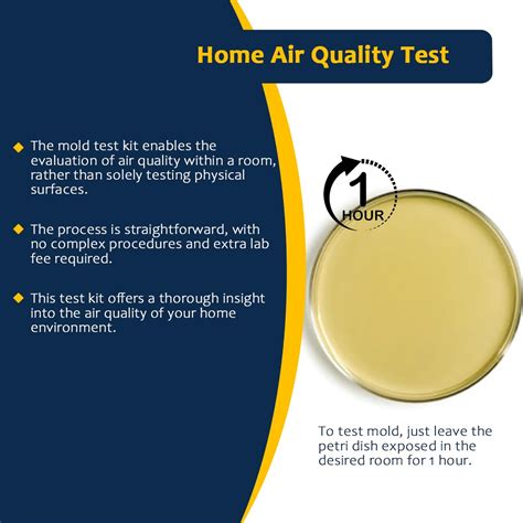 Mold Testing Kit With 10 Individual Tests DIY Mold Test Kit For Home