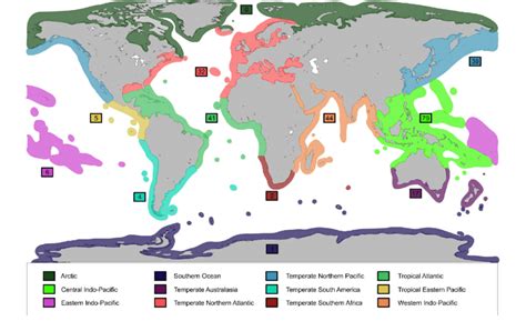 Number Of Marine Cymothoidae In Biogeographic Regions Marine