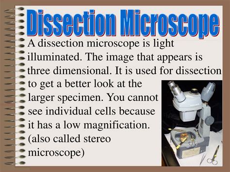 Ppt Introduction To The Microscope Powerpoint Presentation Free Download Id4206779