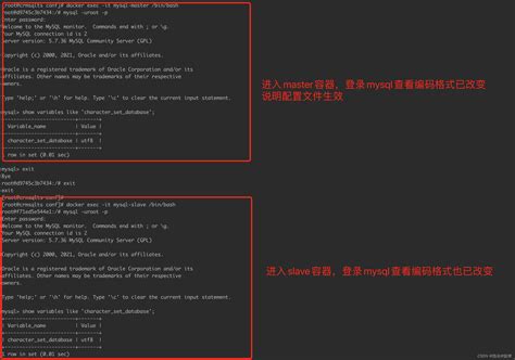 九、docker 复杂安装之mysql主从复制 极客之音