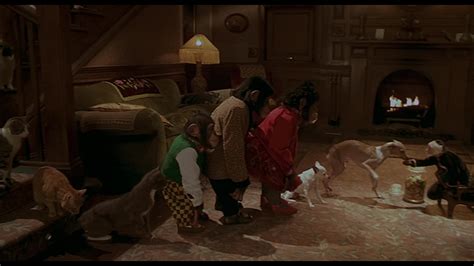 Babe Pig In The City 1998