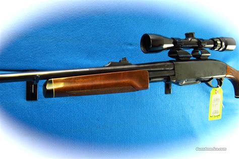 Remington Model 6 Pump Rifle 243 W For Sale At Gunsamerica