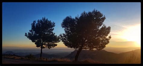 Mi Atardecer De Hoy No Hemos Aprendido Nada Viva Suecia Belano