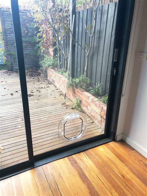 Pet Door in Glass Door Gallery - Melbourne Pet Doors