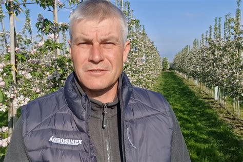 Komunikat Sadowniczy Przymrozki Robert Binkiewicz Agrosimex