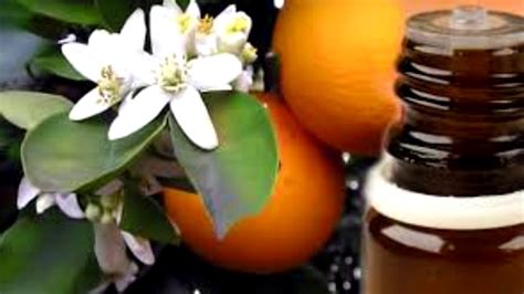 Propiedades Del Aceite Esencial De Azahar Aromaterapia Youtube