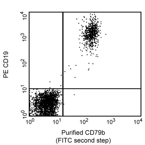 Purified Mouse Anti Human Cd79b