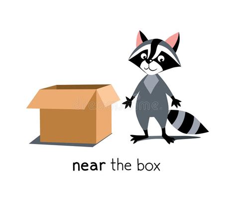 Preposition Of Place And Movement Raccoon And Box Stock Vector Illustration Of Teaching