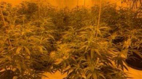 Sneinton Cannabis Farm Found In Abandoned Nottingham Pub Bbc News