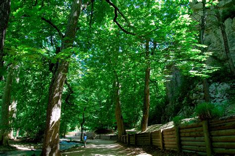 PARC DEPARTEMENTAL DE SAINT PONS