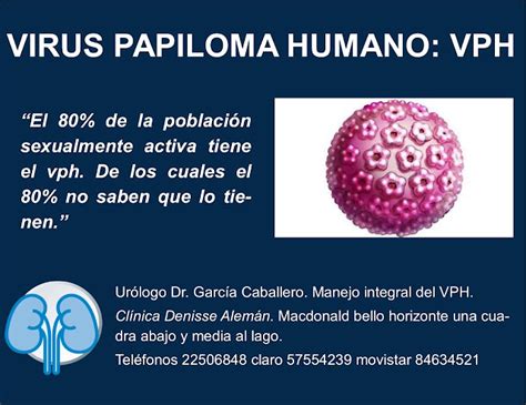 Virus Papiloma Humano Todo Sobre Vph