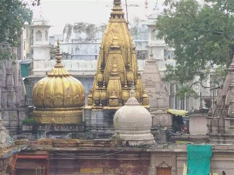 विश्वनाथ मंदिर की रक्षा के लिए अनेक भक्तों ने दिया बलिदान