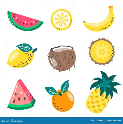 Set Of Isolated Summer Fruits Stock Vector Illustration Of Exotic