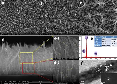 A C Typical Field Emission Scanning Electron Microscopy Fesem