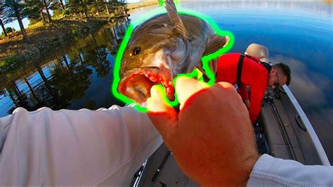 23 Bass Fishing In Colorado Pics Bukan Blog Luar Biasa