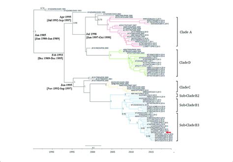 Maximum Clade Credibility Mcc Phylogenetic Tree Of Ev D Vp