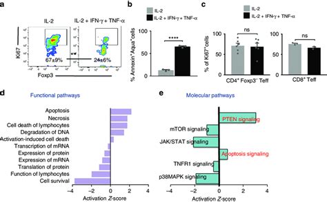 Impact Of Ifn γ And Tnf α On Specific Signaling Cascades In Tregs A E Download Scientific