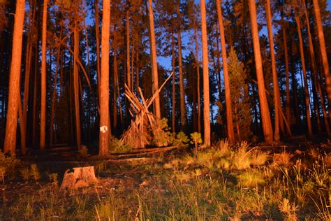 Tee Pee In The Woods Tee Pee At Our Campsite Jamie Collins Flickr