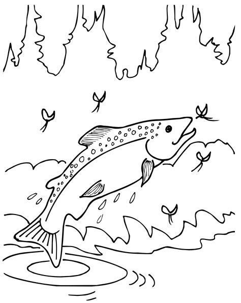 Beautiful Trout Coloring Pages For Kids Coloring Pages