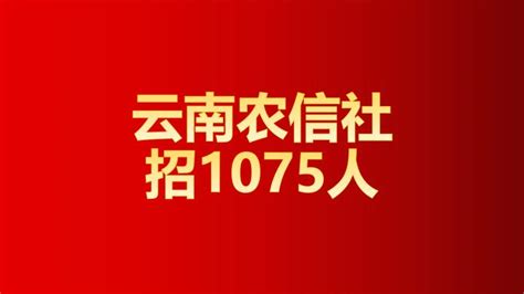 重磅！云南省农村信用社2021年秋季校园招聘公告！招1075人！ 知乎