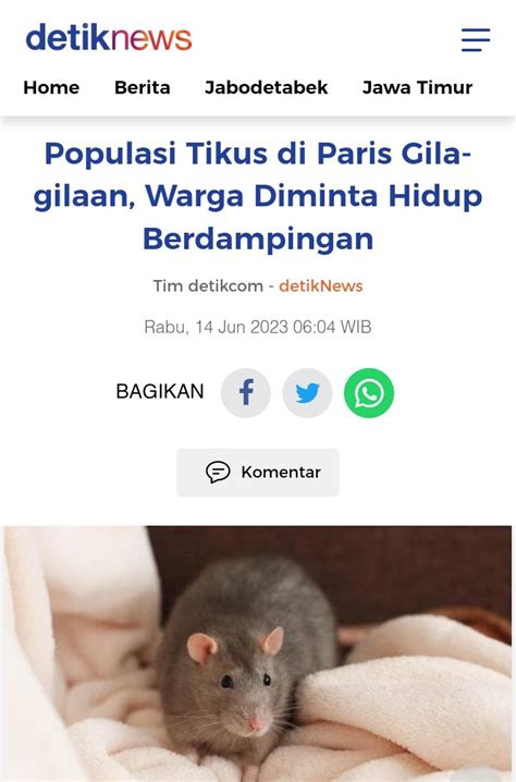 TxtdariHI On Twitter Jangan Kaget Kalo Nanti Di Paris Ada Tikus Yg